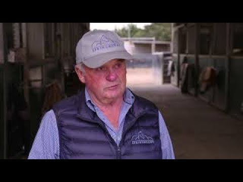 2020 INGLIS PREMIER YEARLING PREVIEW SEG 3