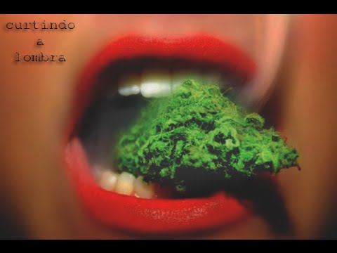 download lagu mp3 mp4 Metadoze, download lagu Metadoze gratis, unduh video klip Metadoze