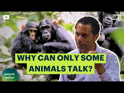 Why Only Some Species Can Talk—and Dance | Erich Jarvis - YouTube