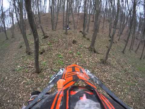 Vadkakaduk- mikor a moci megtámadja a zsokét - Mama veszélyben