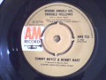 tommy boyce & bobby hart - where angels go ,trouble follows