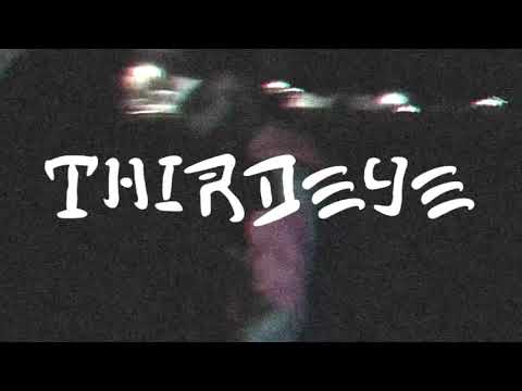 zdechly osa - porylem sie chlopie