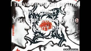 Naked in the Rain with lyrics