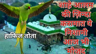 Story of Shahe Alam Sarkar | Ahmedabad Gujrat Dargah | तोते को एक नज़र में हाफिज बनाया |Zinda Karamat