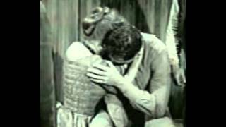 Love of a Lifetime.wmv