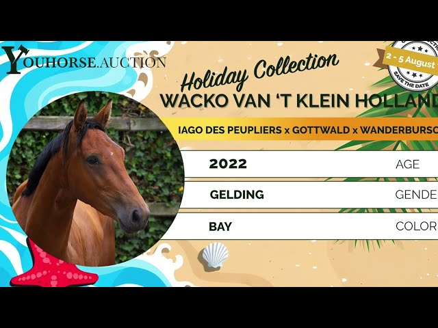 Wacko van 't Klein Holland