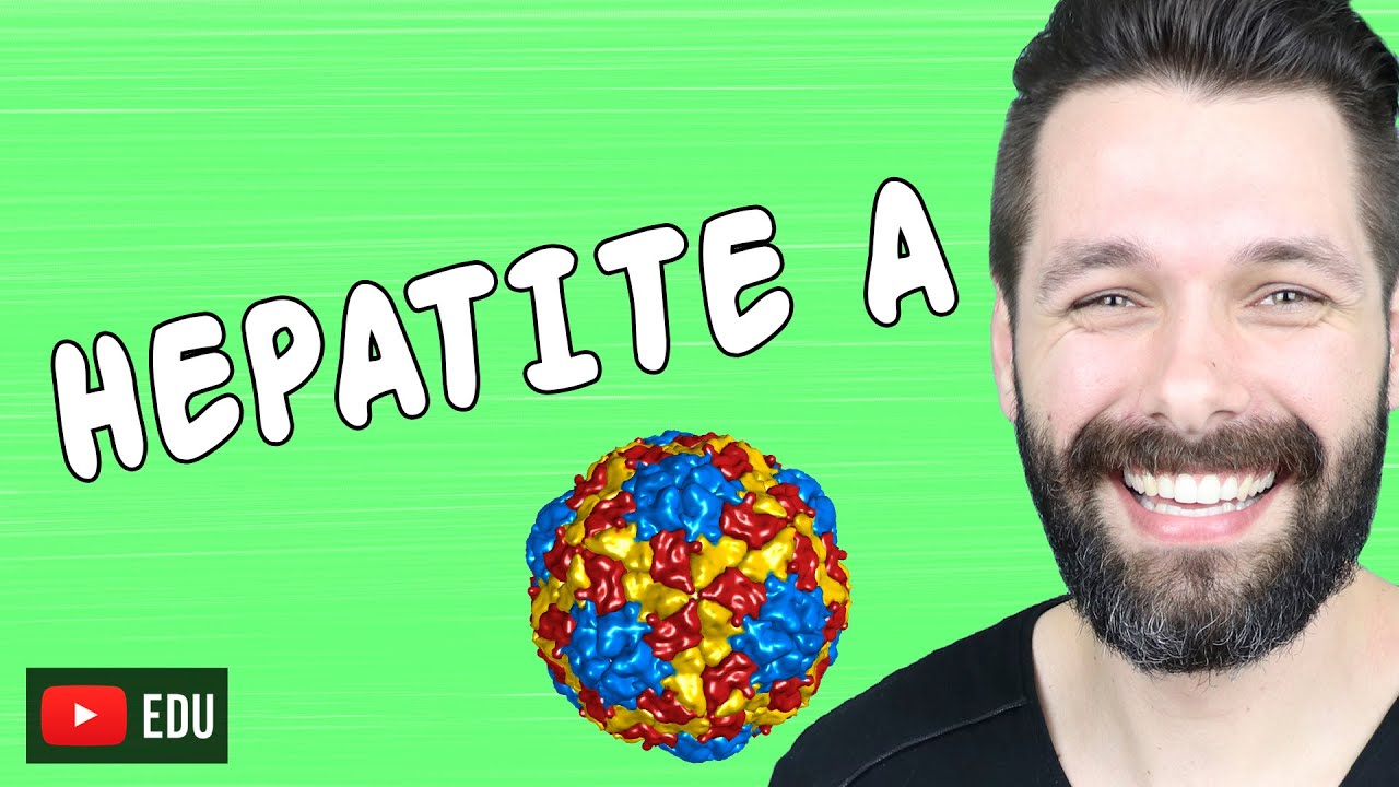 HEPATITE A - HEPATITES VIRAIS | Biologia com Samuel Cunha