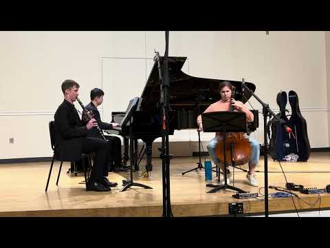 Brahms Trio, Mvt. I / Schultz, Monfredo, Chen