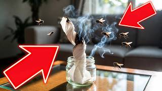 This Cinnamon Trick Eliminates Pests AND Bad Smells (No More Mosquitoes or Flies)