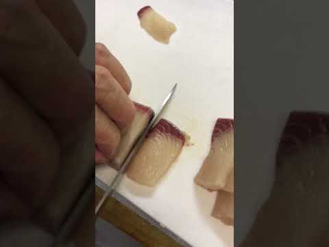 赤ちゃんイルカの死骸:原因は原油流出