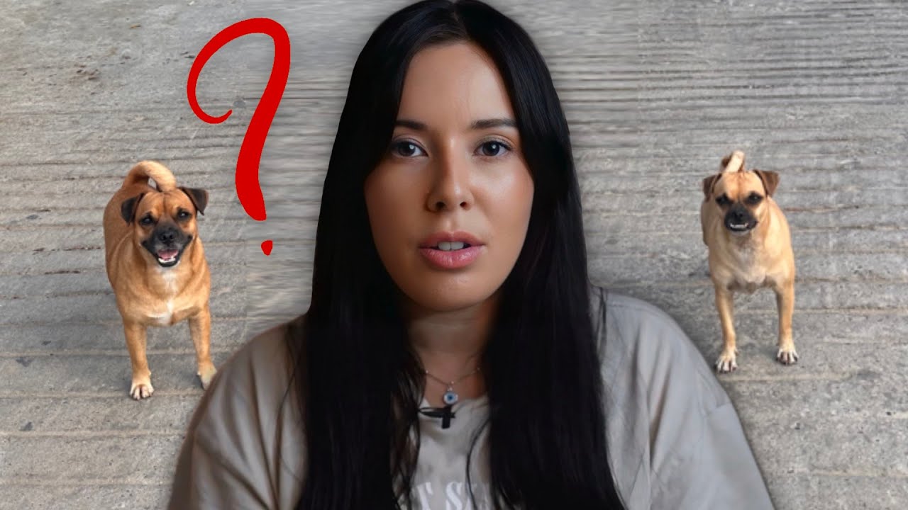 A humilhação de tr@n$@r em outra língua, pronto falei (date errado)