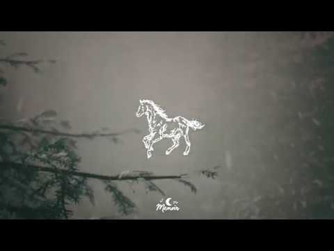 Video thumbnail for Horse Betting