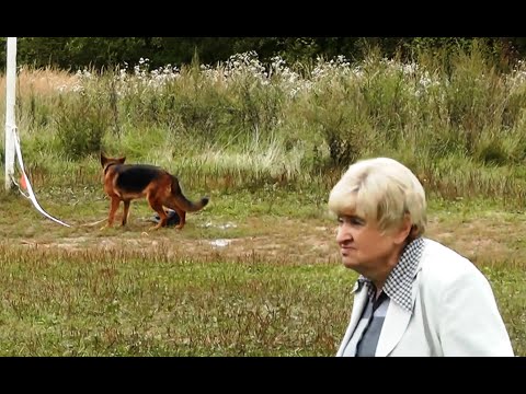 Юнсен ф. Хаус Шлессер. Испытания по ЗКС.