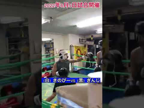 きのぴーVSぎんじスパーリング#shorts #格闘技 #ボクシング #トレーニング #日常