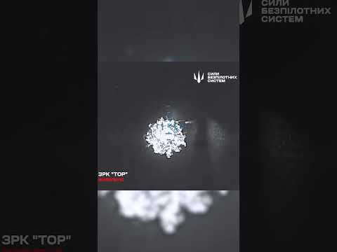 Ukraine NEMESIS unit destroys Russian Tor missile air defence system with night bomber UAVs