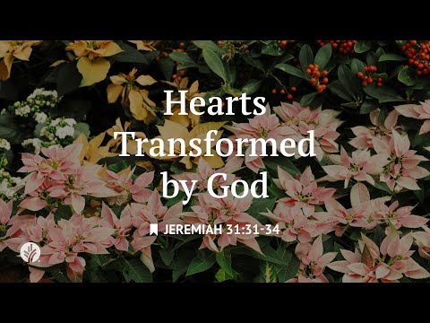 Hearts Transformed by God | Audio Reading | Our Daily Bread Devotional | December 28, 2025