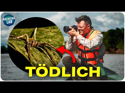 Video Thumbnail: Expedition Peru: Auf der Jagd nach den seltensten Tieren