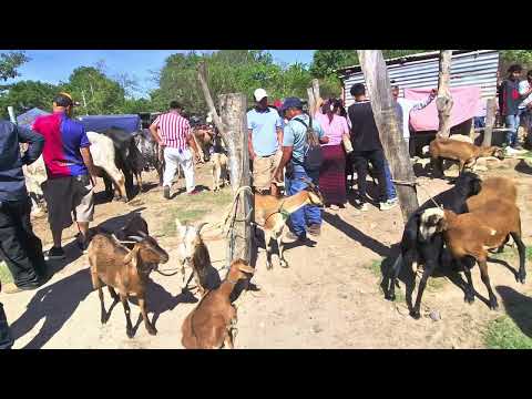 Ambiente en el tiangue de Santiago Nonualco, La Paz, El Salvador