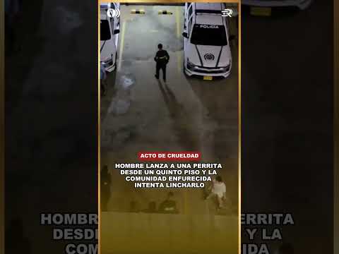 HOMBRE LANZA A UNA PERRITA DESDE UN QUINTO PISO Y LA COMUNIDAD ENFURECIDA INTENTA LINCHARLO