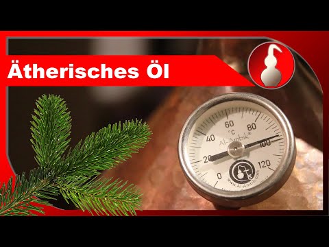 Ätherisches Öl selber machen - Tanne destillieren - destillieren als Hobby - diSTILLed