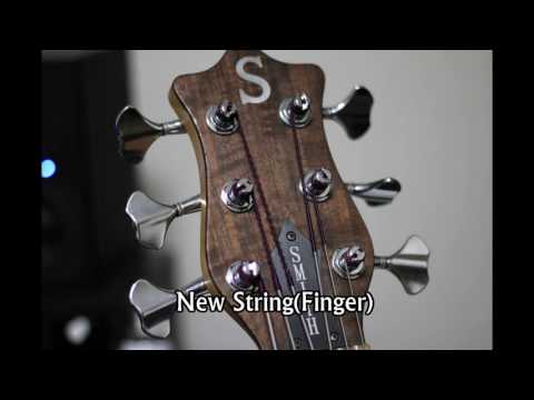 Ken smith Bass New Strings VS Old Strings