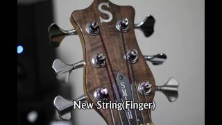 Ken smith Bass New Strings VS Old Strings