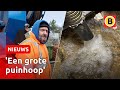WATEROVERLAST: Rioolheld Henri ZUIGT ALLES OP | Omroep Brabant