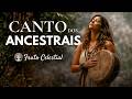 Canto dos Ancestrais — Onde a Alma Recorda Sua Origem Sagrada