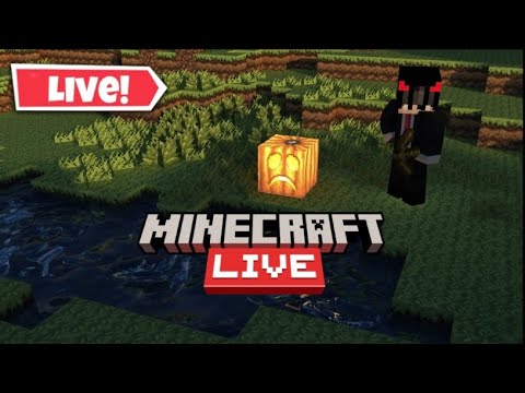 Minecraft Chill Stream | Road to 100k Subscribers