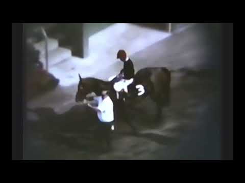 A Tribute To Buckpasser