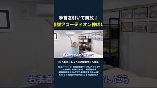 手首を引いて解放! 脇腹アコーディオン伸ばし