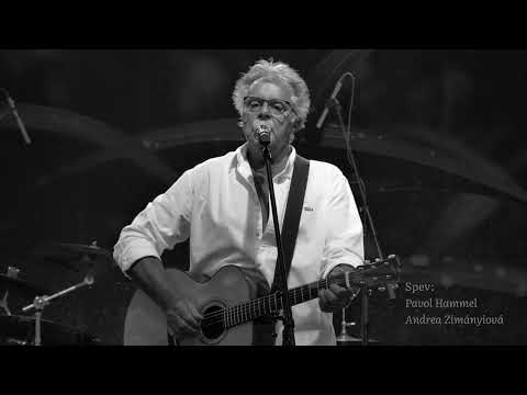 Pavol Hammel - Keď to nie je dôležité (videoklip & text)