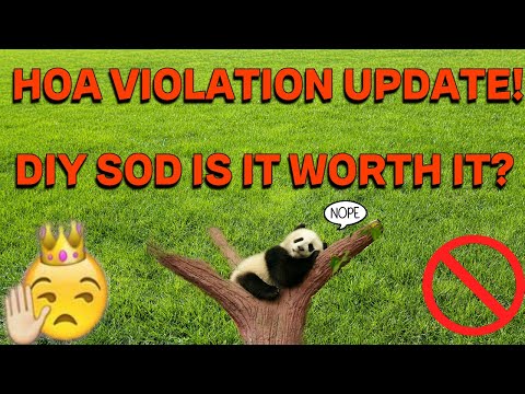 DIY INSTALLING SOD?.😓 NEVER AGAIN! THE TRUE COST REVEALED!  #grass #hoa