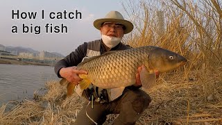 How I catch a big fish (잉어 플라이 낚시)