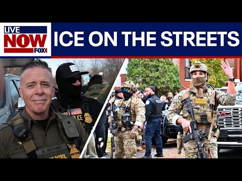 WATCH: ICE in Chicago, video captures apparent arrest by federal agents