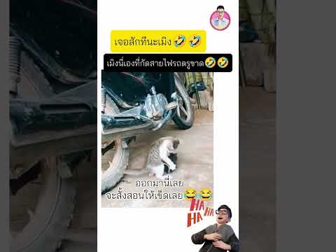 ต้องดึงออกมาไม่มีเพื่อนเล่นครับ