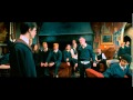 Harry Potter Insulting Seamus S Mother