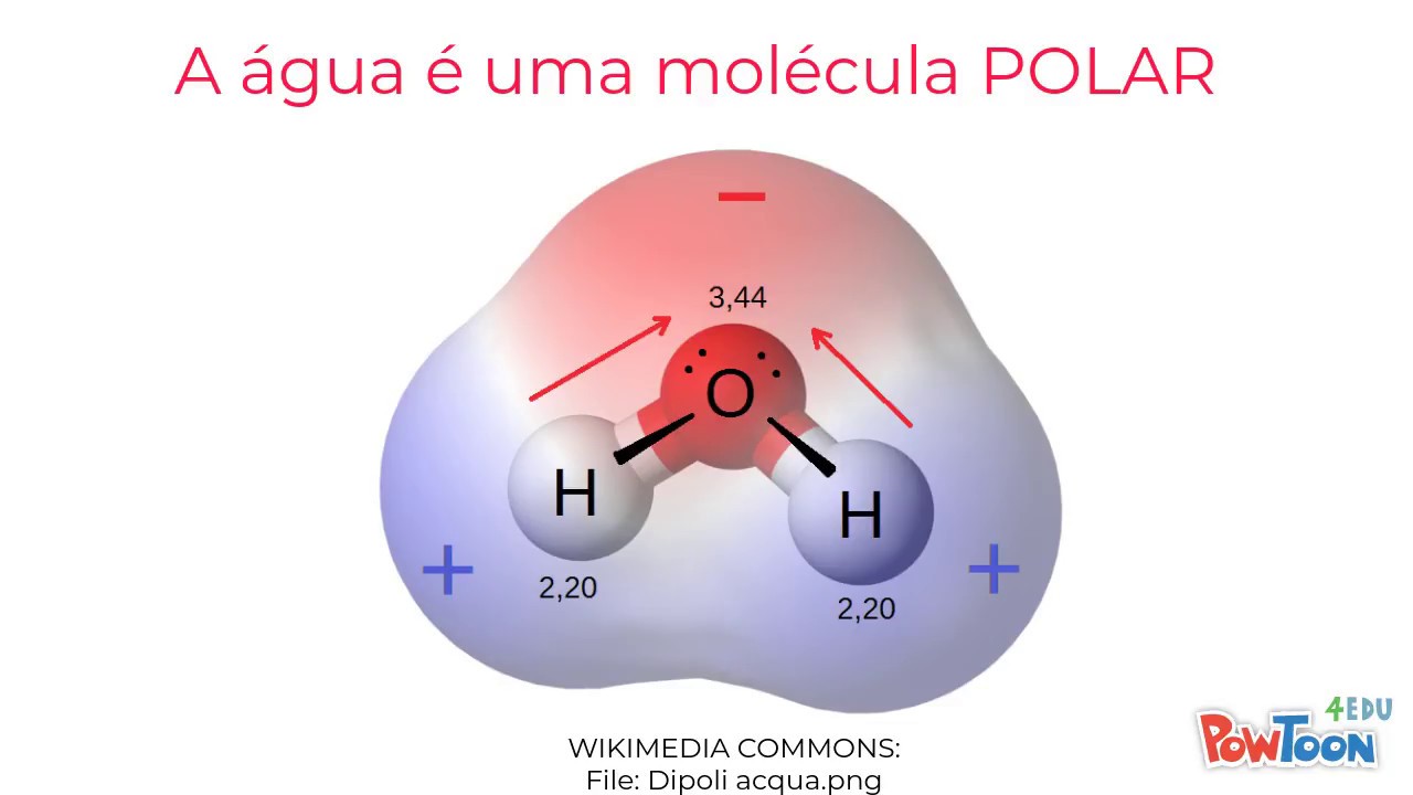 Agua1: Introdução e Estrutura da Água