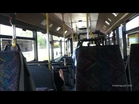 Bus Queensland #817 - Csepel 844.13 [ZF] [ABM]