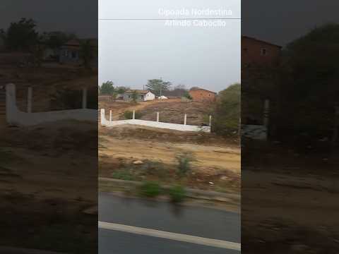 Coisas do Nordeste  #nordeste #nordestino #sertão #sertãonordestino #paraiba #seridó