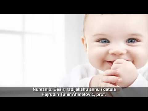 Numan b. Bešir, radijallahu anhu i datula - Hajrudin Tahir Ahmetović, prof.