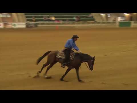 170923 Peter DeFreitas on Freckled Doe Open Futurity