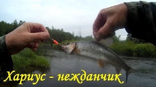 Рыбалка в костромской области на малых реках