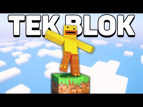 Can We Complete Minecraft With A SINGLE BLOCK? (Part 1)