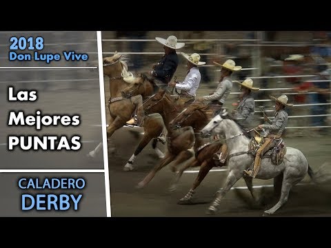 LAS MEJORES PUNTAS Caladero Derby - Don Lupe Vive 2018