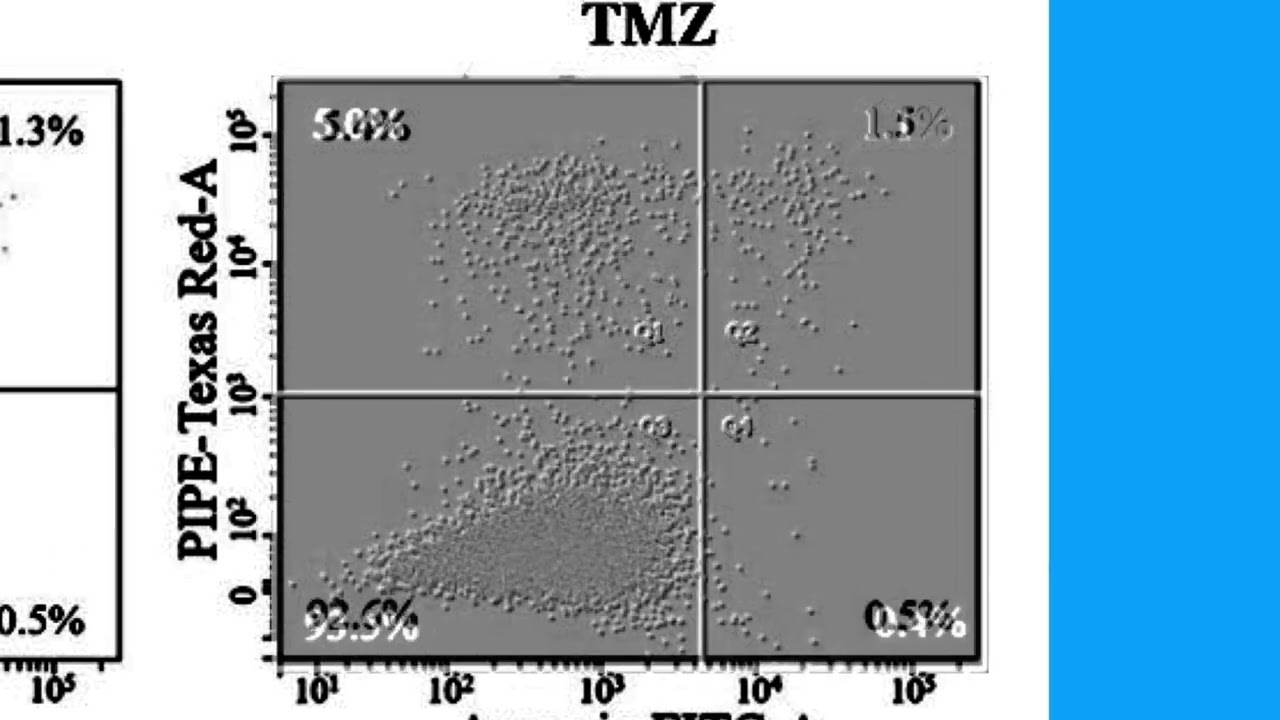 91D139EC11BEAD13A8924A16D8B68B#1