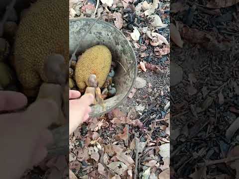 Rancho Vida na Serra de Martins, Rio Grande do Norte