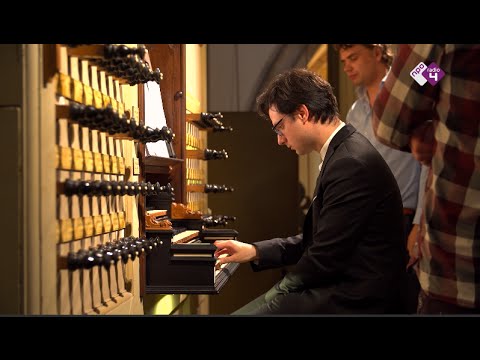 Het Orgelfestival in Haarlem & Alkmaar | Festivalzomer 2016