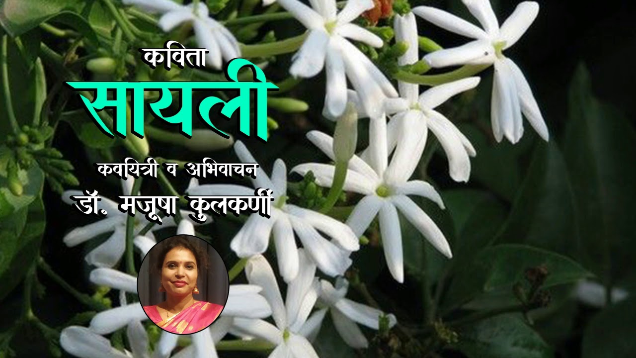 कविता - सायली | Popular Marathi Poem | Dr. Manjusha Kulkarni | Manjumanjiri | मराठी कविता