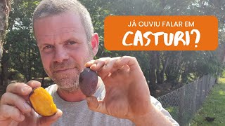 Miniatura do vídeo